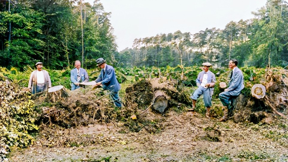 John Morrison overseeing construction of Wentworth's West course 👊