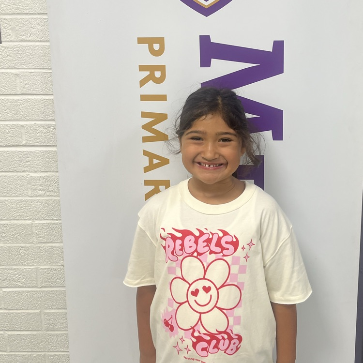 Mesnier Primary tweet media