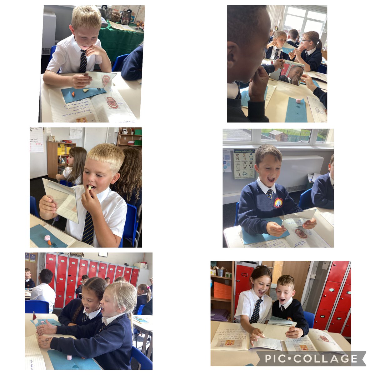GA_Bury's tweet photo. #Year4GA excelled in their first science session of the year, investigating the varying properties of different teeth. The children tested different textured foods, consuming it, using an isolated group of teeth at a time. #ScienceEdGA https://t.co/QPztZZEpyY