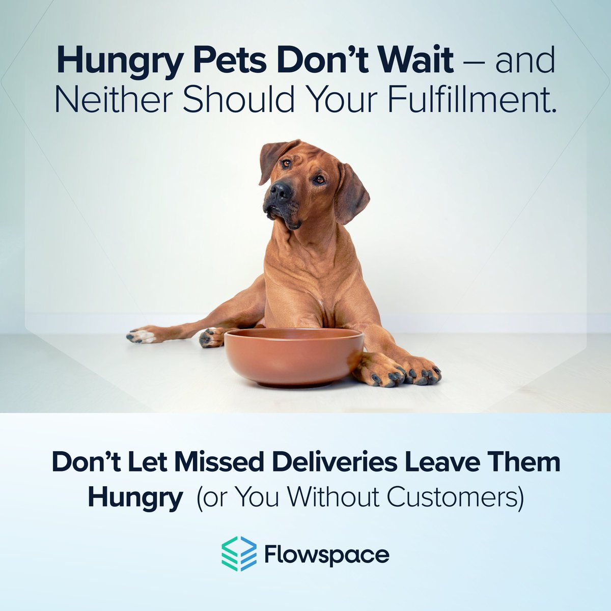 get_flowspace's tweet image. Want loyal pet parents? Start with fulfillment.
❌ Missed deliveries = missed meals
❌ Failed subs = lost customers
❌ Damaged orders = broken trust
For pet brands, smart ops = loyalty. Here’s how to keep it: hubs.la/Q03J1WNY0