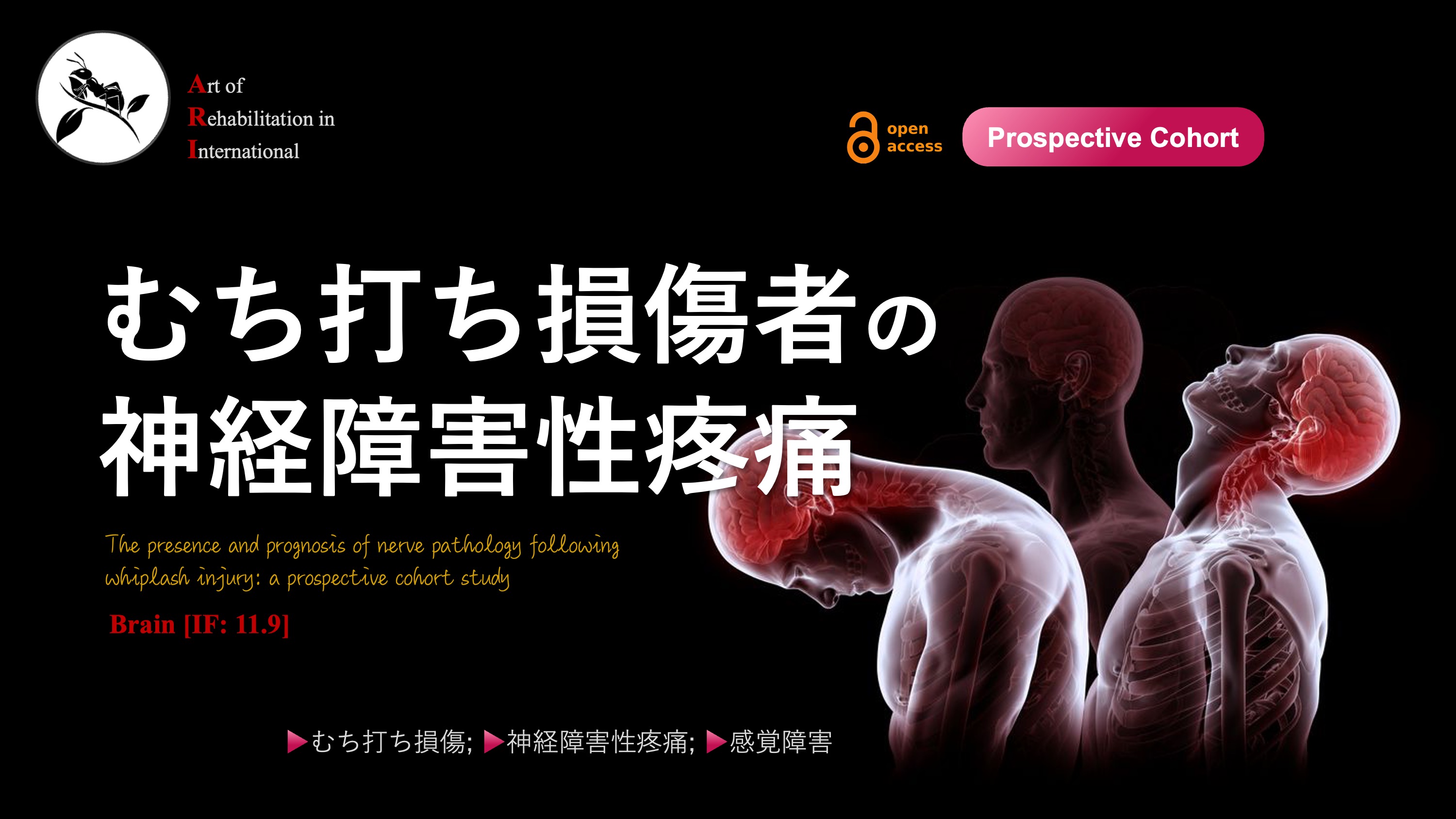 理学療法 理学療法士_海津陽一 Ph.D. on X: 