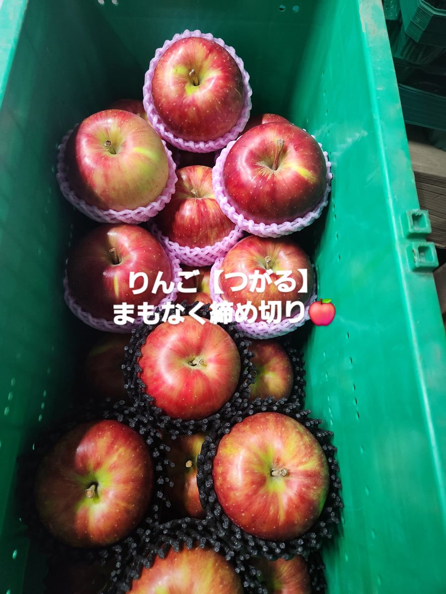AmazingApp40969's tweet photo. おはようございます
AmazingApple 中田です
今日の作業は弘前ふじ葉とり&シルバー
みなさん1日頑張りましょう🍎
#AmazingApple
#ちとせ村
#りんご農家
#農家産直
#人気りんご
#ふるさと納税 https://t.co/Z4d02mirGD