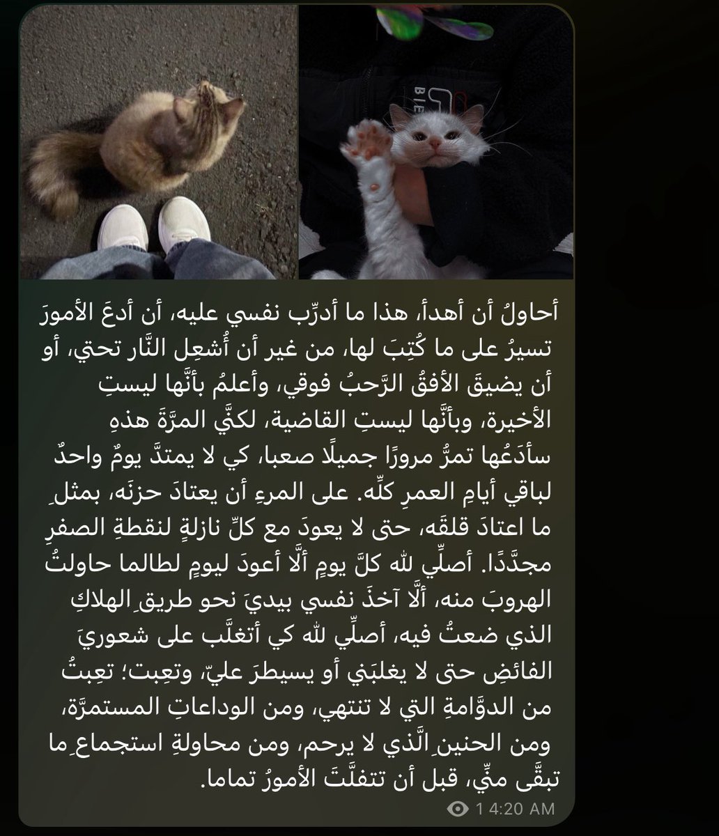 أمجاد إبراهيمّ . (@aljadibrahim) on Twitter photo 