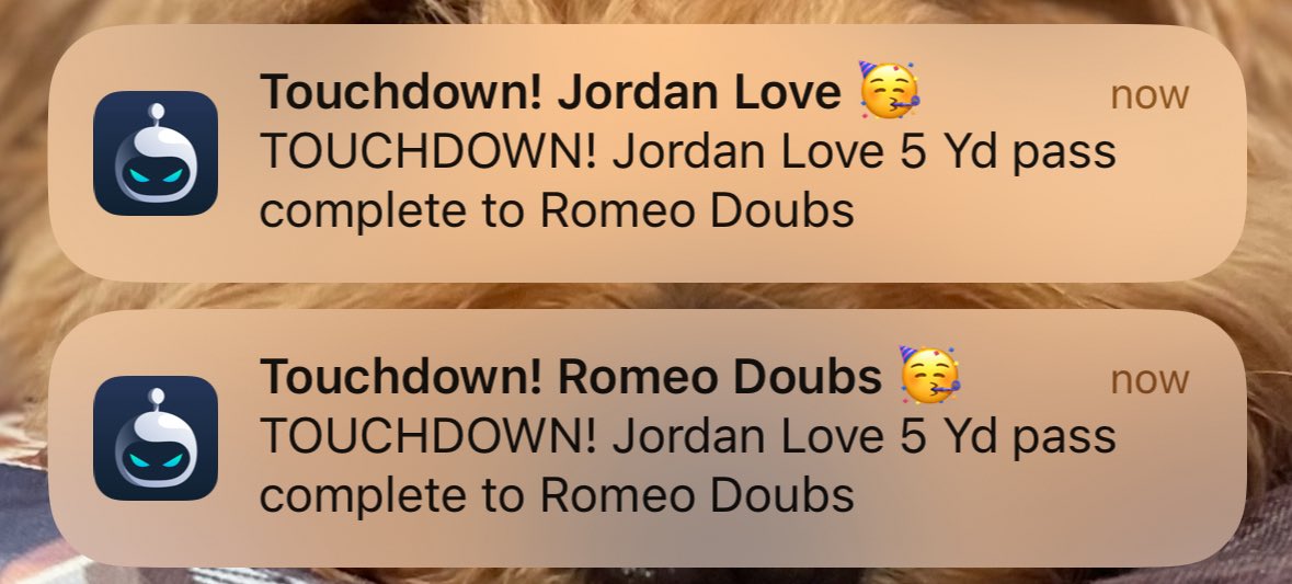 👁 ➡️🐊 tweet media