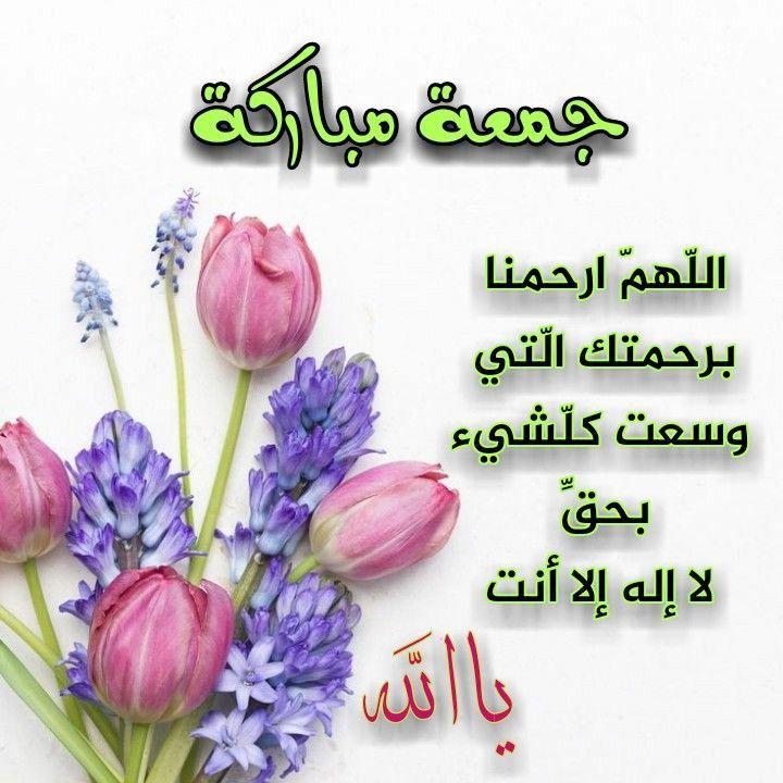 🐣فرز م̲ح̲م̲د̲ ل̲ل̲آ̲ضآ̲ف̲آ̲ت̲ 🐣 (@qjijjq) on Twitter photo 