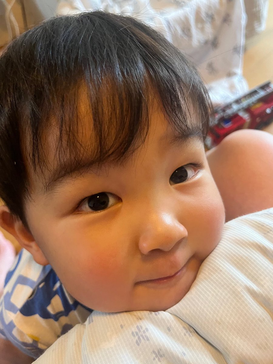 弟のミルク中に寄ってきて授乳クッションに顎乗せてこの顔はあざとすぎない？！
そんで『ママ？あーそーぼっ🥹』って！！！！
哺乳瓶放り投げて『いーいーよ！』って言うとこだったわ…
とりあえずあまりの可愛さに叫ぶに留めました…