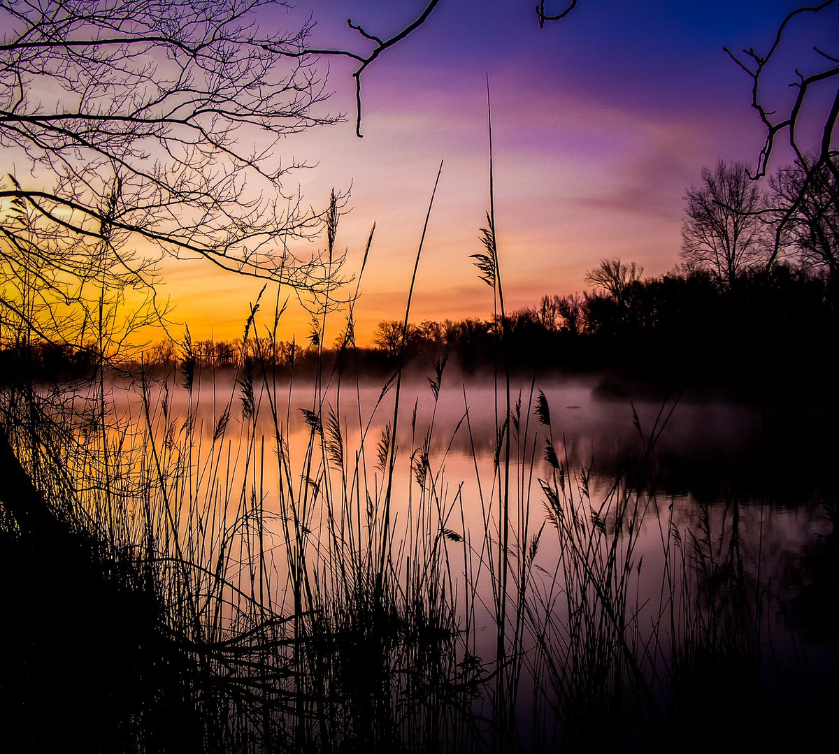 Today we all should share something beautiful.  All the evil of this world and all the hurt and heartache. Please QP/Share something beautiful on your feed to change the world! God Bless everyone!!! 🙏