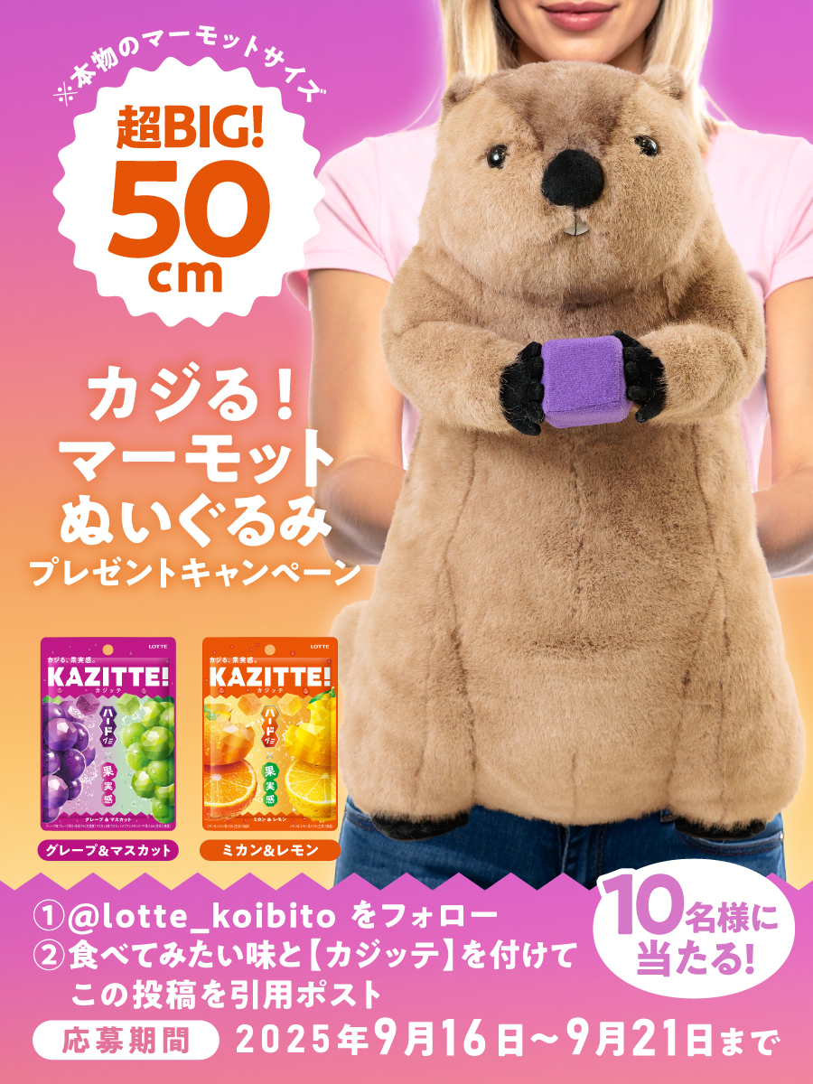 お口の恋人 ロッテ/LOTTE【公式】 (@lotte_koibito) on Twitter photo /
新!ハードグミ『KAZITTE!』本日発売✨
\
新発売の記念に『ほぼ実寸 カジる!マーモットぬいぐるみ』が当たるキャンペーンやります!
(50cmあってホントにデカい)
①<a href="/lotte_koibito/">お口の恋人 ロッテ/LOTTE【公式】</a> をフォロー
②食べてみたい味と【カジッテ】を付けて
この投稿を引用ポストで応募完了!
📅9/21〆 /
新!ハードグミ『KAZITTE!』本日発売✨
\
新発売の記念に『ほぼ実寸 カジる!マーモットぬいぐるみ』が当たるキャンペーンやります!
(50cmあってホントにデカい)
①<a href="/lotte_koibito/">お口の恋人 ロッテ/LOTTE【公式】</a> をフォロー
②食べてみたい味と【カジッテ】を付けて
この投稿を引用ポストで応募完了!
📅9/21〆
