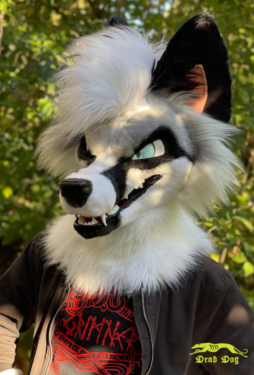 DeadDog Fursuits 🥀 tweet media