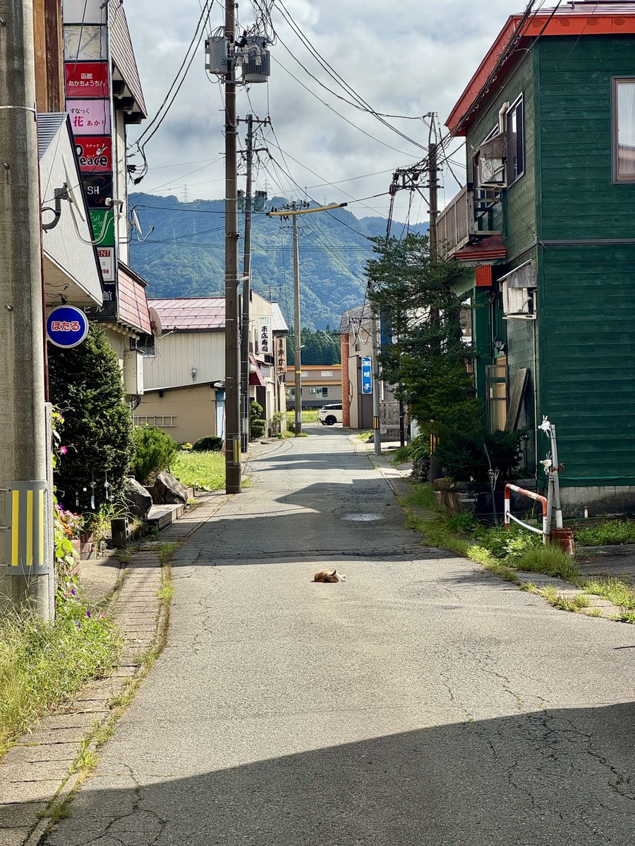 Alinut (@alinutskb) on Twitter photo 