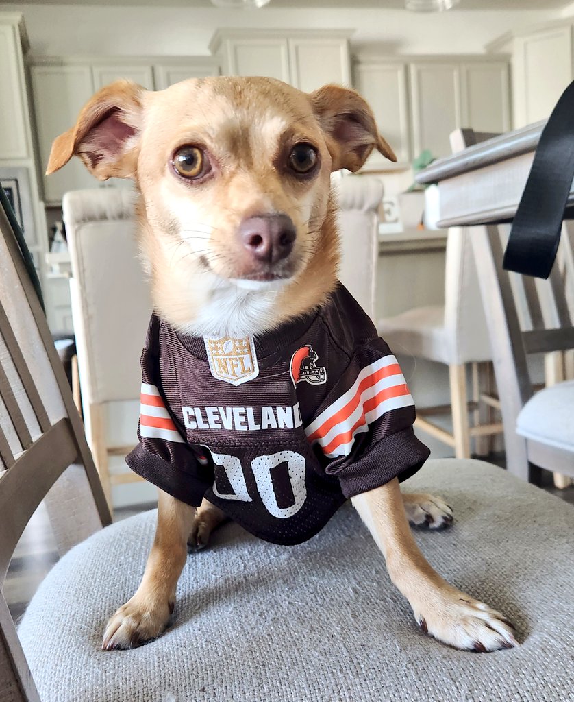 Willing to play kicker!
<a href="/Browns/">Cleveland Browns</a>