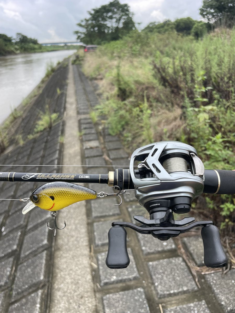 soichiro1124111's tweet photo. とりあえずクランクはこの3本で回せるかなー。

#tailwalk
#fullrange 
#daiwa
#クランクベイト https://t.co/urqPJ0hS62