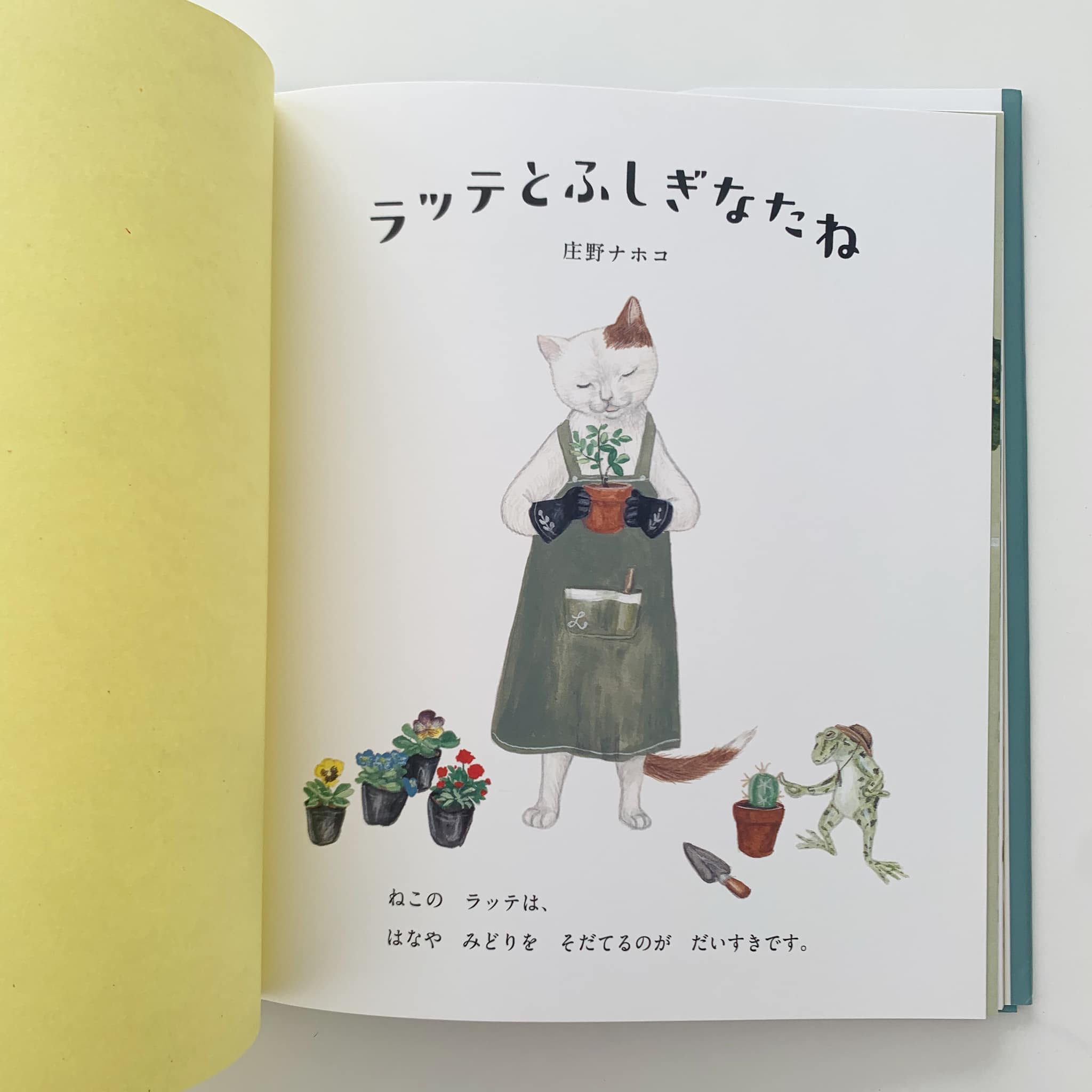 庄野ナホコ「Books & Birds」展 原画 美品 庄野ナホコ「Books & Birds」展 原画 美品 Circus of Wonders