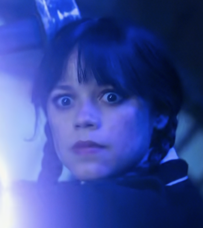 katy🦋 tweet media