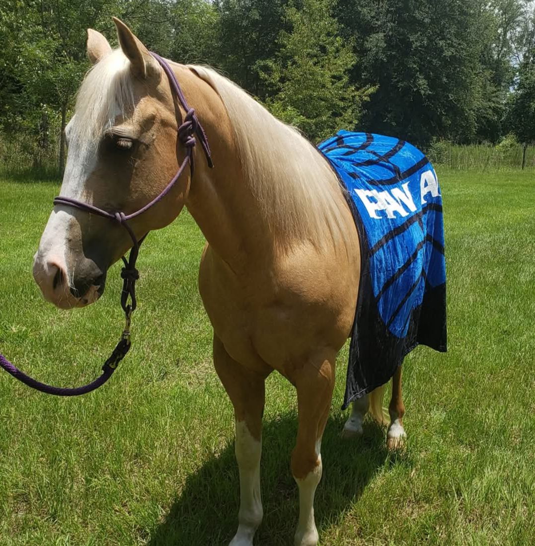 Pan Am Museum tweet media