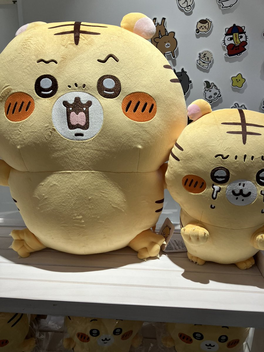 ナガノマーケット　まとめ売り　ナガノのくま ナガノマーケット公式通販 on X: 