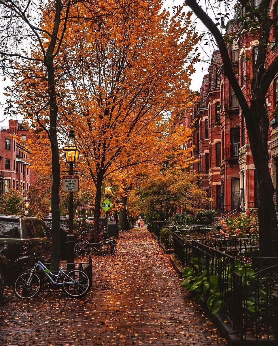 archi_tradition's tweet photo. Boston, Massachusetts 🇺🇸 https://t.co/R4jCgT18lt