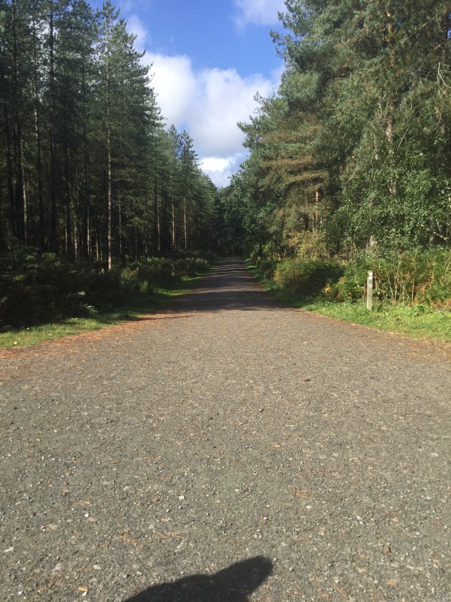 We’ve had a very busy start to Year 4 - the children have all been working so hard! Today we went to Delamere Forest to see for ourselves just how different it is to our local area...<a href="/WindsorCP/">Windsor CP</a>