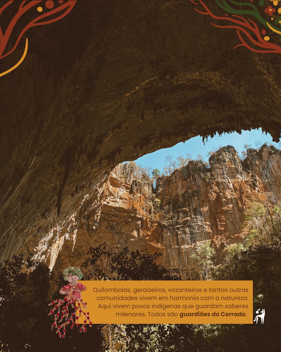 A vida no Cerrado - AVINC tweet media