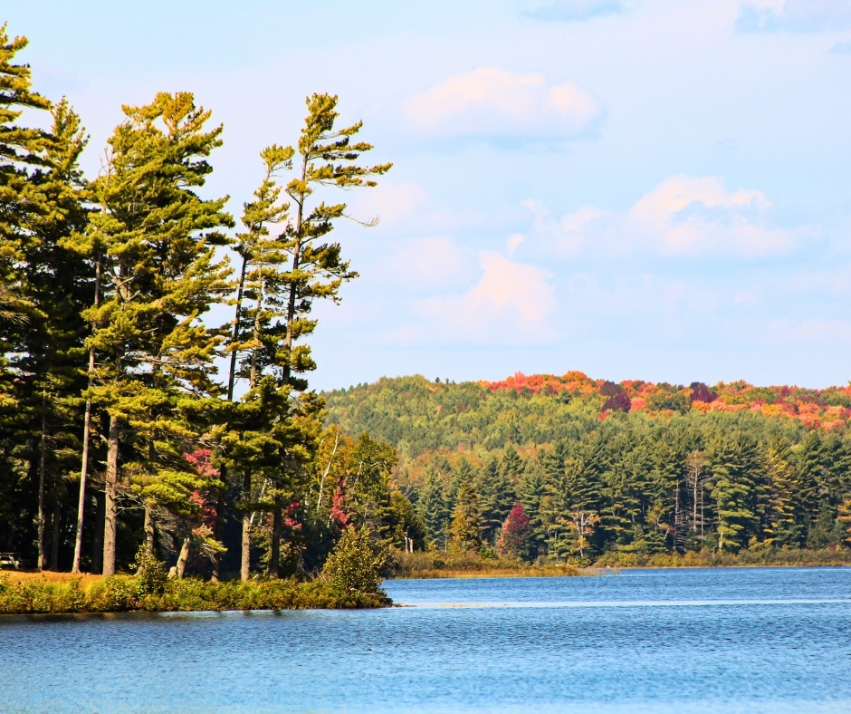 Fall colors in Hayward, WI!

Photo by Tanika Johnson Powell