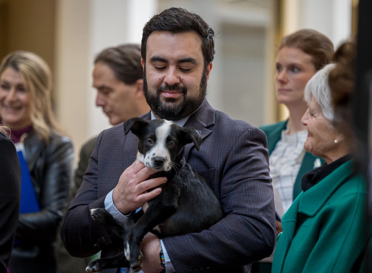 SenPisciottano's tweet photo. As Co-Chair of the Animal Protection Caucus, I'm thrilled the Beagle Bill passed the Senate. This bill will expand protections for cats and dogs used in lab testing, prevent state funding from being used for cruel and painful testing, and allow research animals to be adopted. https://t.co/gDHOPajgAX