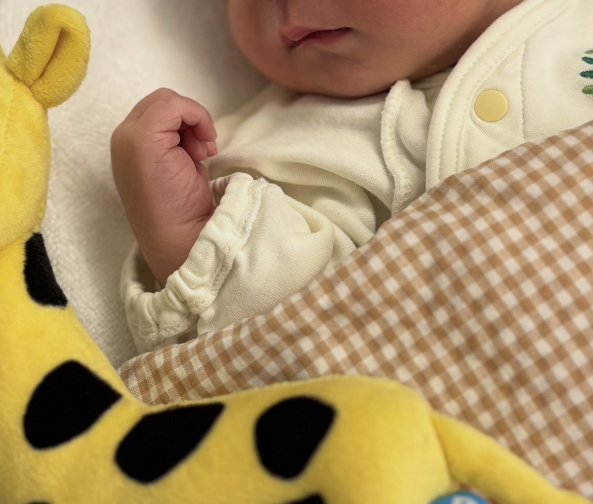 カナコ (あいまいネイビー) tweet media