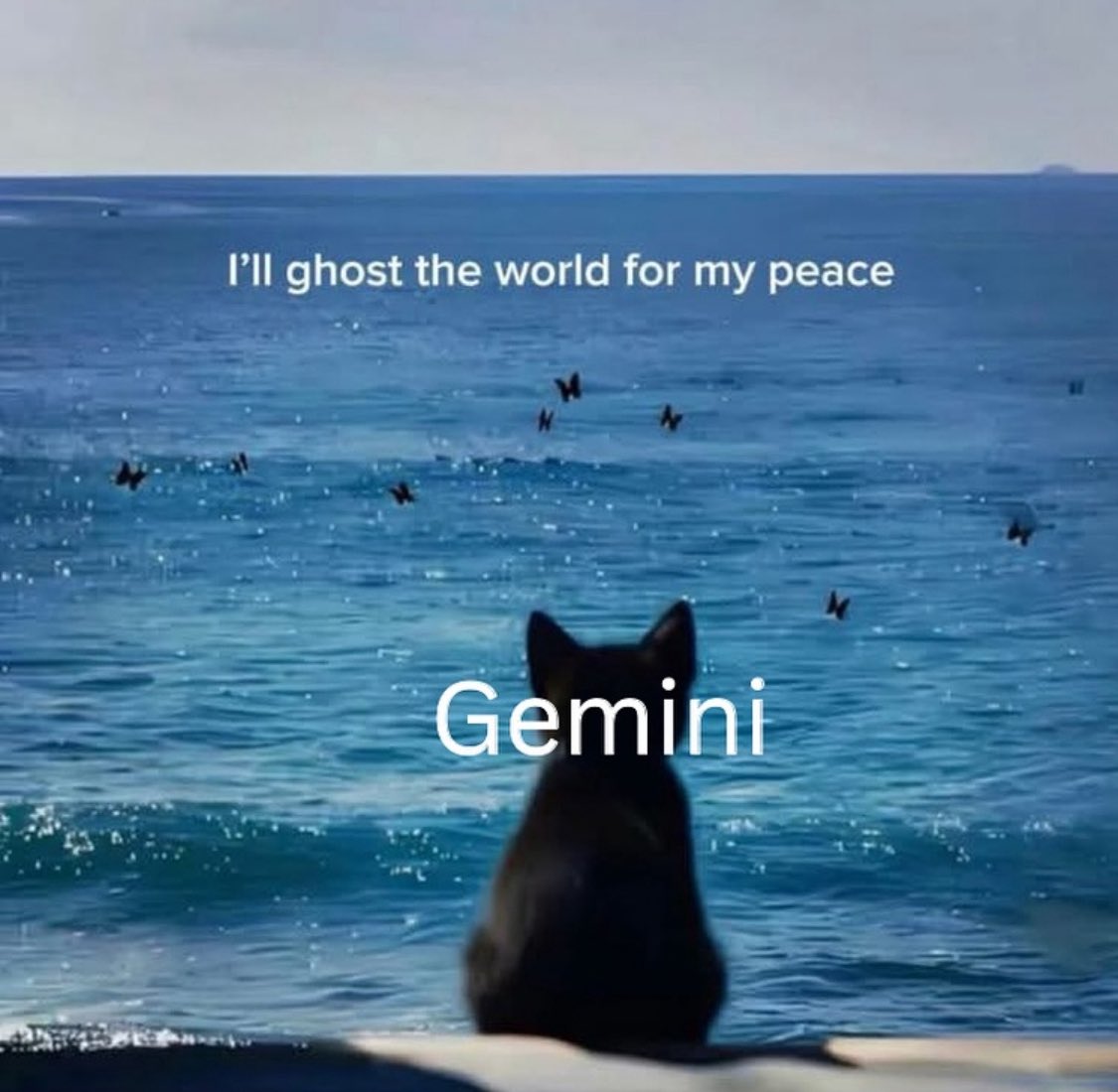 GEMINI (@ispeakgemini) on Twitter photo 