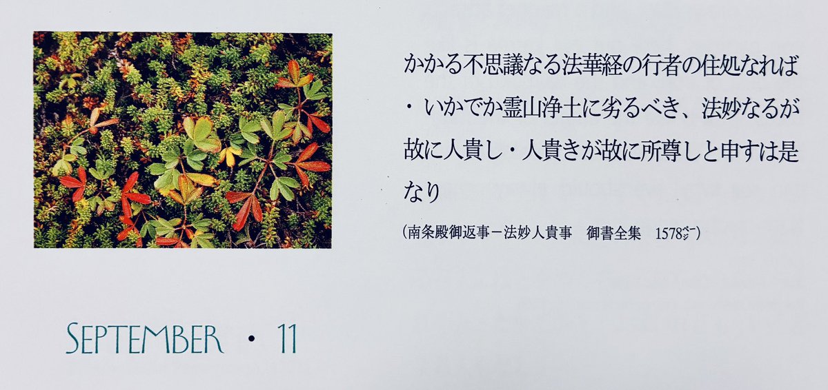 💎DAILY WISDOM💎
From the Writings of Nichiren Daishonin

🪷✨🪷✨🪷✨
Because this mountain is where this wondrous votary of the Lotus Sutra dwells, how can it be any less sacred than the pure land of Eagle Peak? This is what [The Words and Phrases of the Lotus Sutra means when]