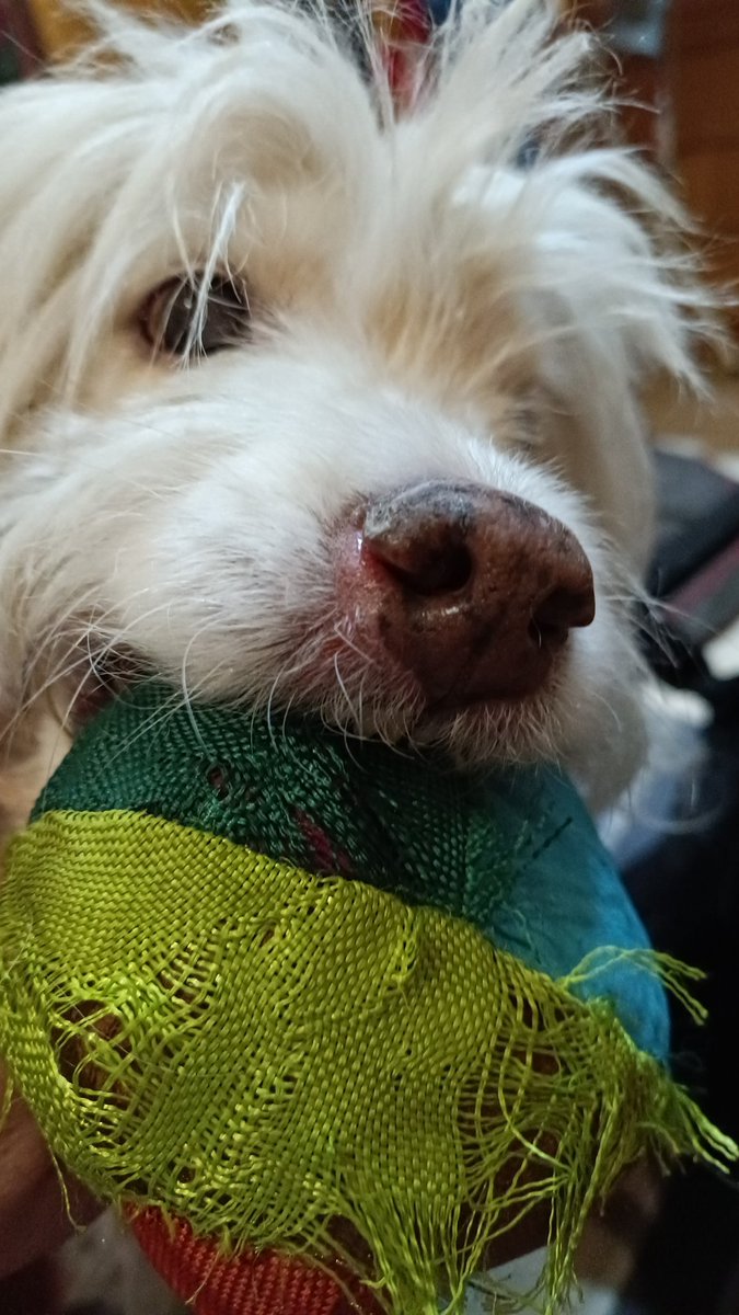 david_mp_chulin's tweet image. 🤍🤍🤍🤍