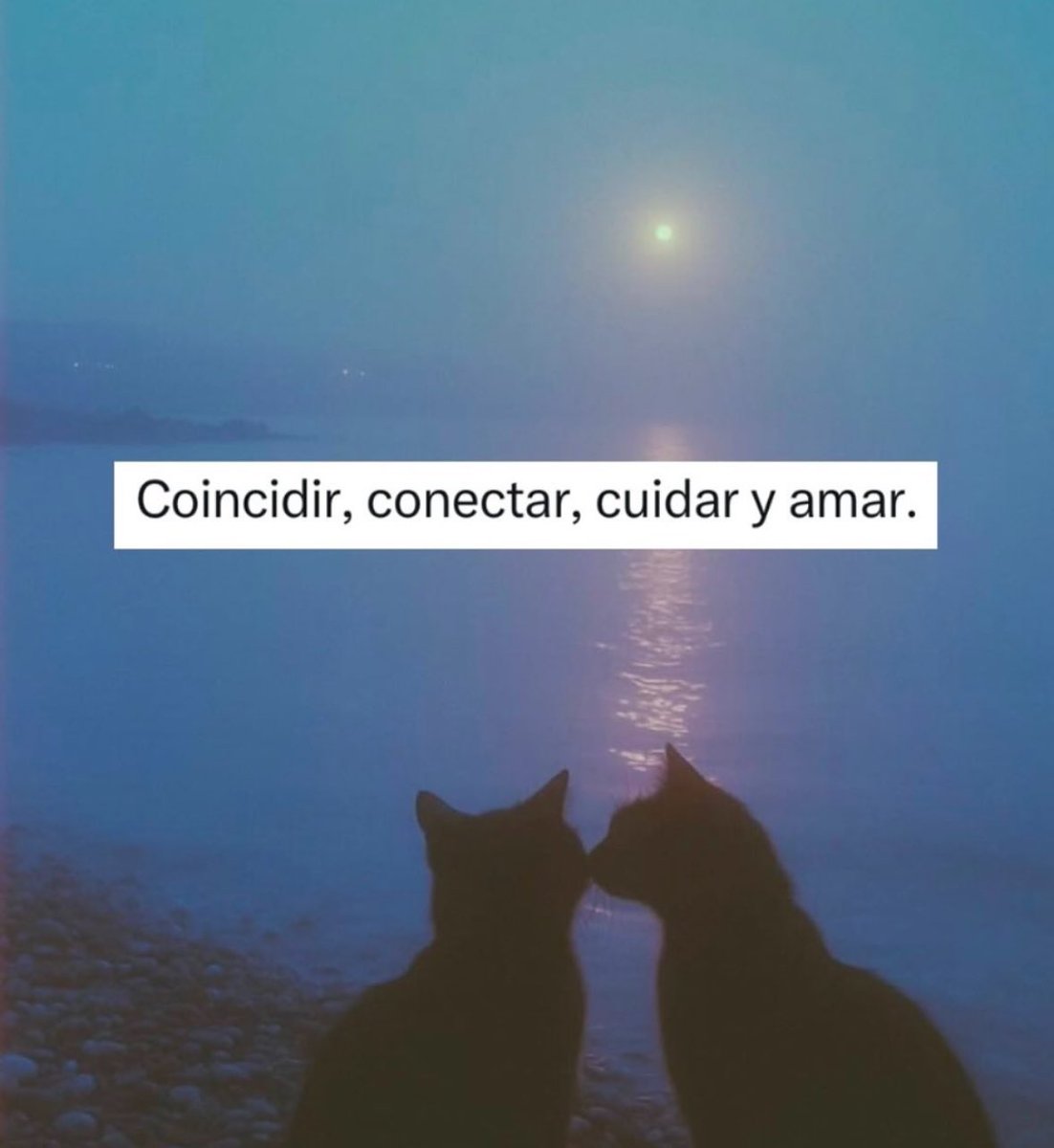 Obrigado à vida por tanto. 💌