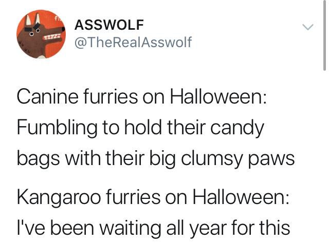 Furry memes (@furrymems) on Twitter photo 