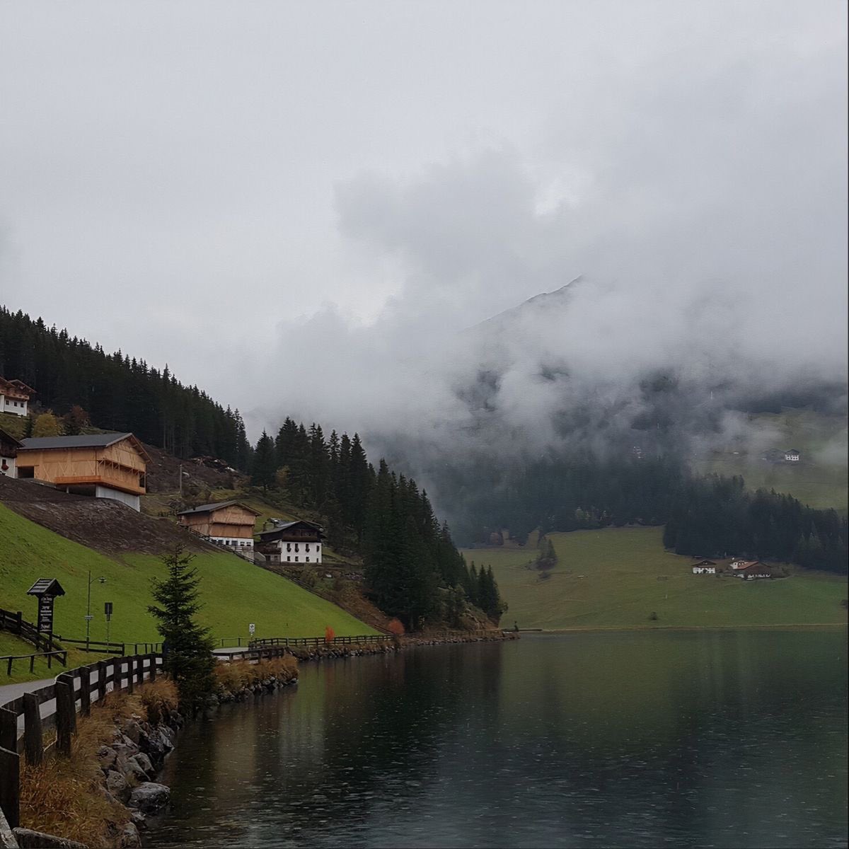 greendreamvibes's tweet image. 