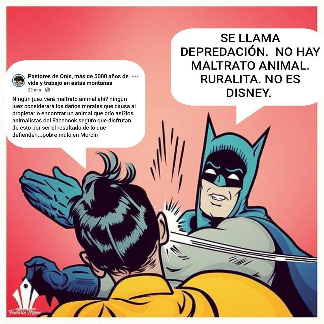 Jorge Soto (@sotoljorge) on Twitter photo 