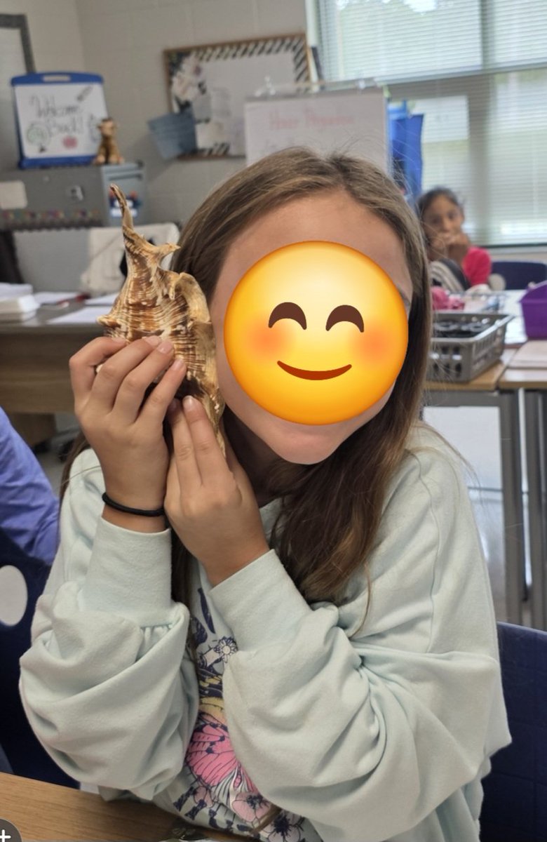 Bringing realia to the classroom  provides concrete, multisensory experiences that connect abstract concepts to the real world, fostering deeper understanding and a more enjoyable learning process in the Spanish language. 
<a href="/ParticipateLrng/">Participate Learning</a> 
<a href="/HarnettCounty/">Harnett County</a> Dual Language Program