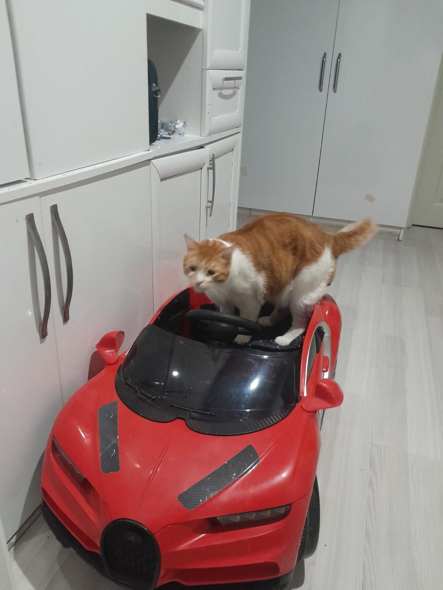 ARABAMIN KUSURUNA BAKMAYIN
KIZLARRRRRR