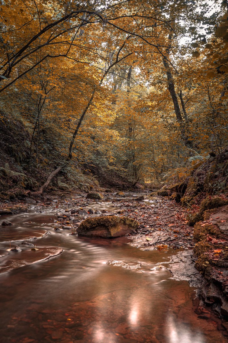 Ben46291729's tweet photo. Wepre Park, Connah’s Quay 🏴󠁧󠁢󠁷󠁬󠁳󠁿 #photoartistry #painterlyphotos #sonyalpha #picoftheday #photo #uk_shooters #tamron #gramoftheday #travelgram #photos #instapic #bentaylor79 #tamron https://t.co/GEyEBZqT8B