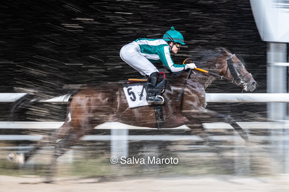 Hoy buscaba esta foto en las nocturnas de Madrid. Muy complicado viajar a cola del lote en la pista de fibra del <a href="/HipodromoMadrid/">Hipódromo de La Zarzuela</a> , que se lo digan a Daniela y a Sara. 
Mañana los ganadores para <a href="/black_type_mag/">Black Type</a> . 
Seguimos !! 📸💪