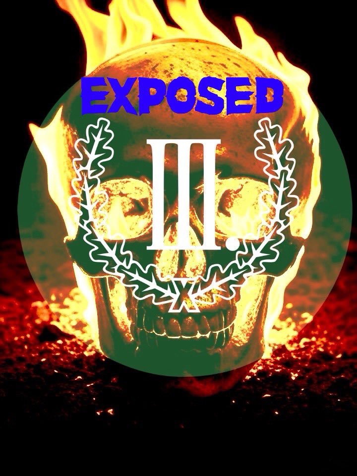 Nathan Sandalwood #DerDritteWegEXPOSED #ExThirdway tweet media