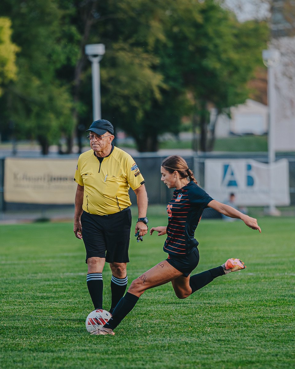 Roman Smith tweet media