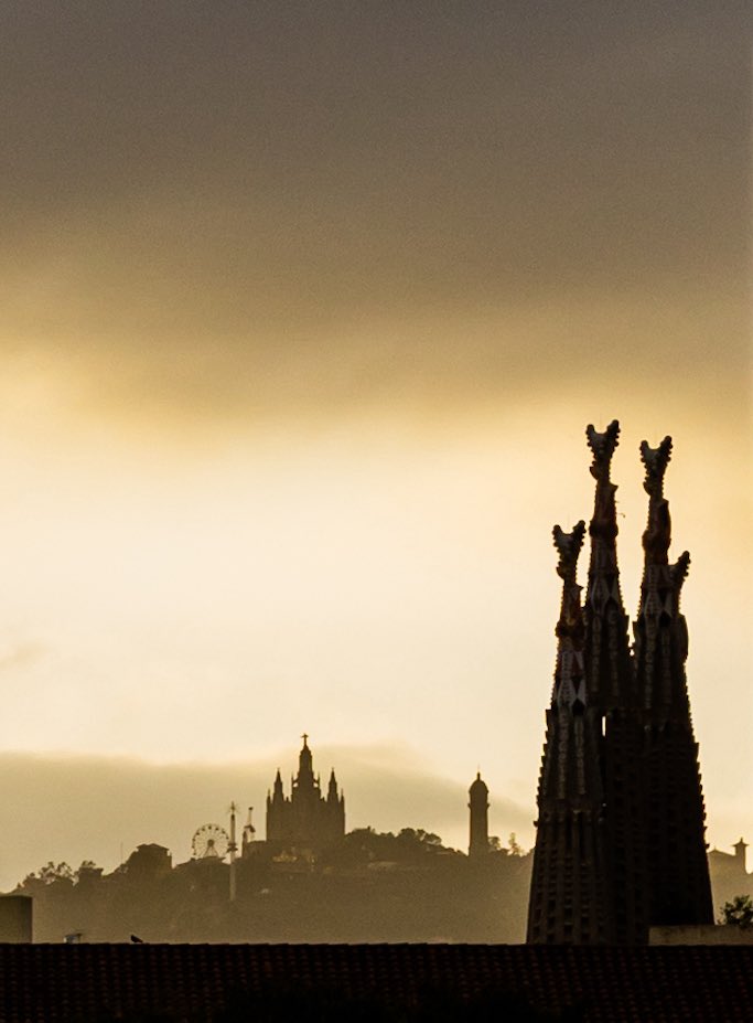 Hi ha escenes quotidianes que són un veritable regal.