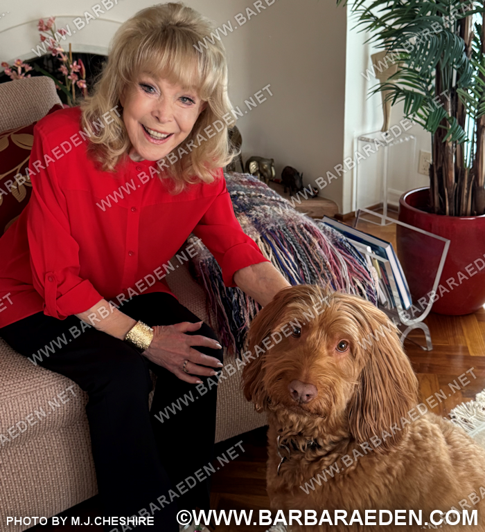 Barbara Eden tweet media