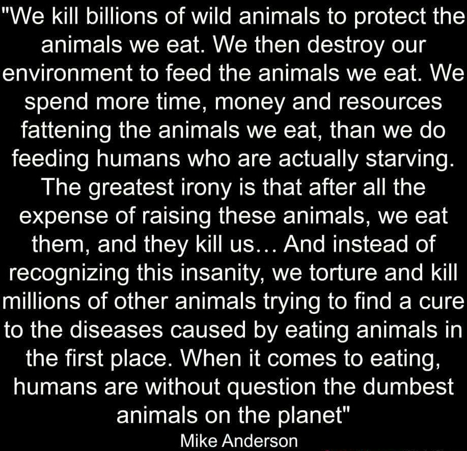 Humans are without question the dumbest animals on the planet.