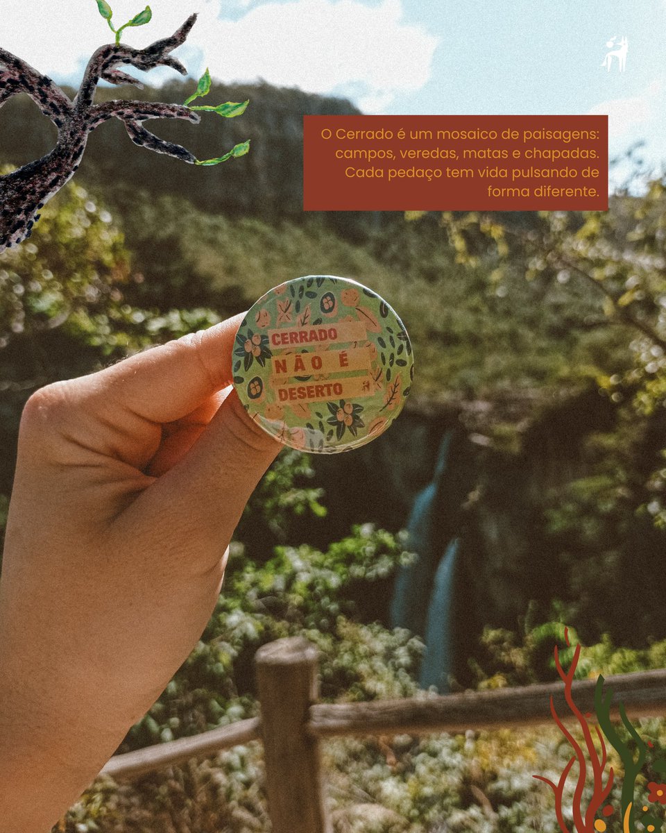 A vida no Cerrado - AVINC tweet media