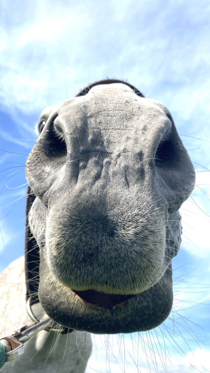 タマちゃん - Search / X