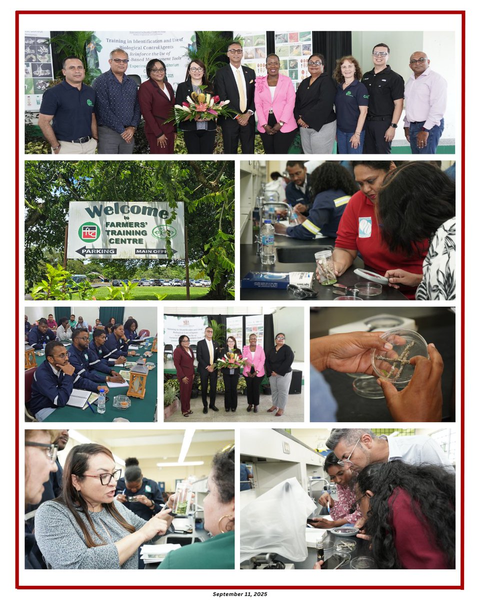 maftt_'s tweet image. MEDIA RELEASE: MALF and CABI launch training on biological control agents for officers and farmers

Learn more: agriculture.gov.tt/media-releases…

#MALF #MediaRelease #CABI #ETISDivision #BiologicalControlAgents #SustainableAgriculture

@ttgovcomms @tttliveonline @CNC3TV @tv6tnt