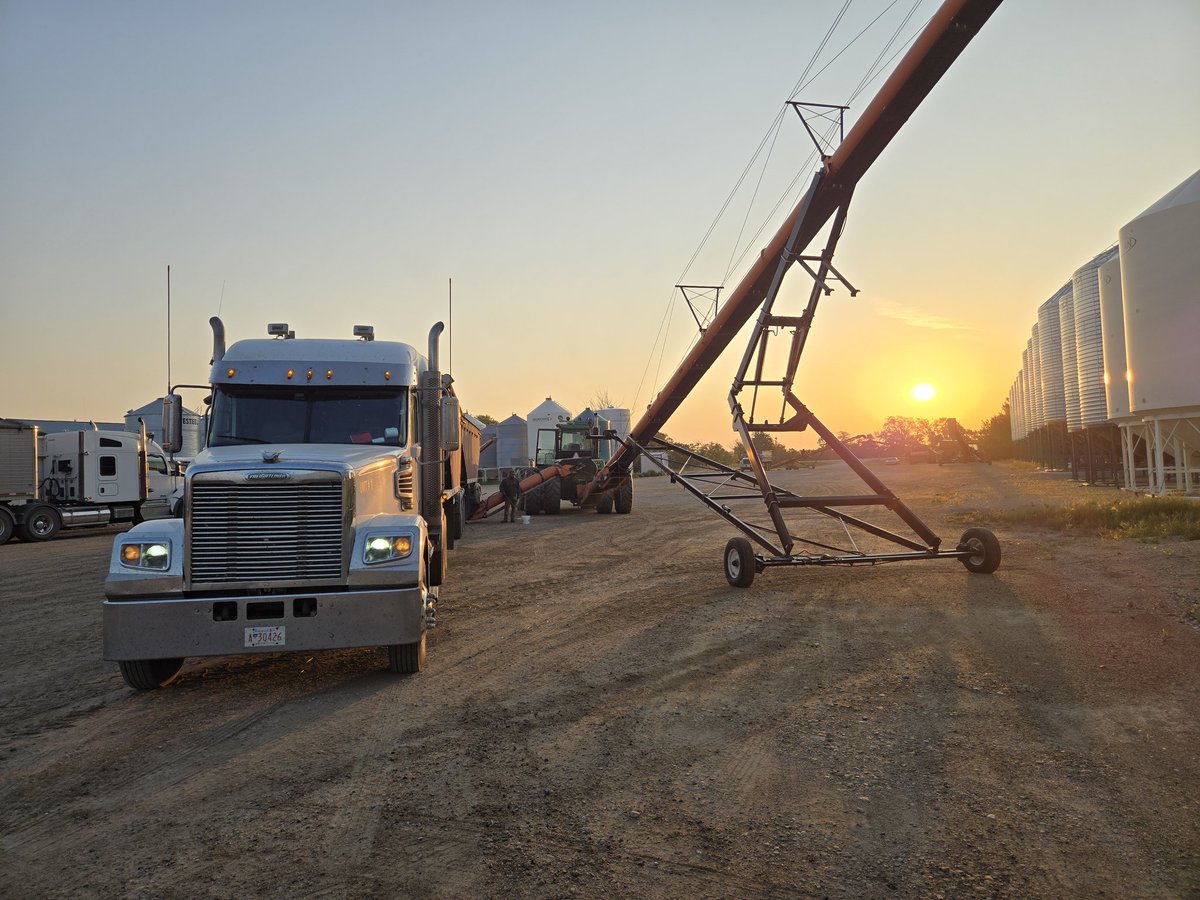 Randy Toman tweet media