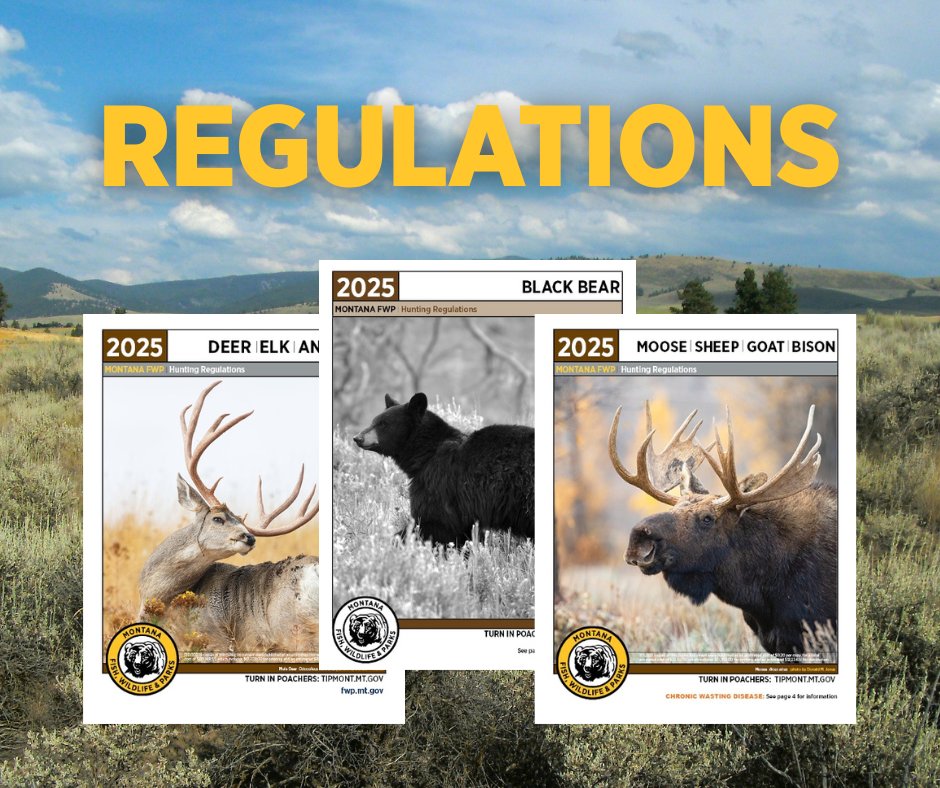 Montana FWP tweet media