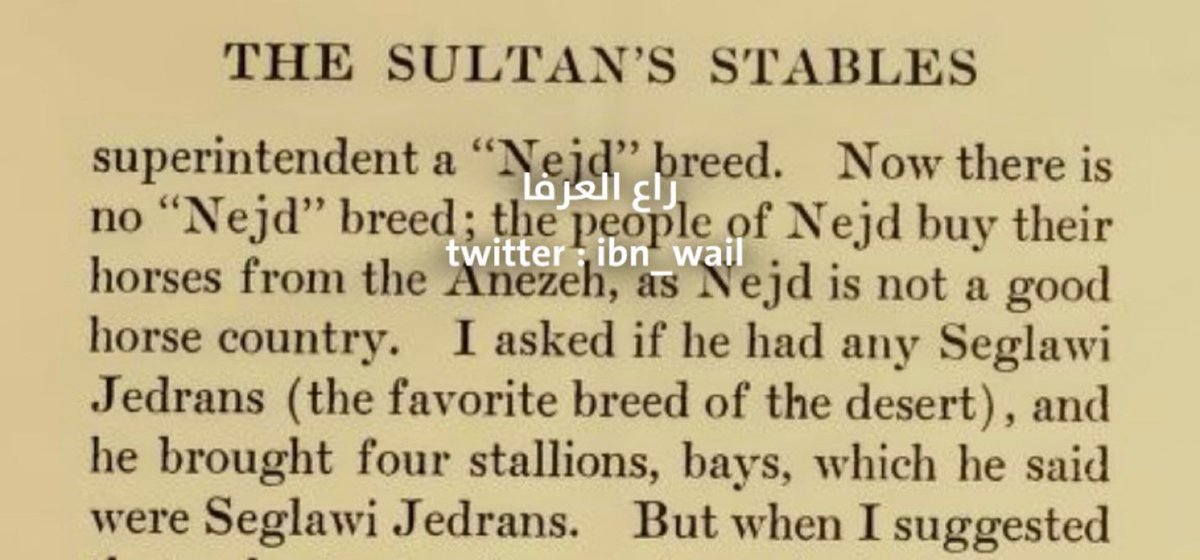 " اهالي نجد يشترون الخيل من عنزة "

لقد كان المشرف من سلالة "نجد". والآن لا توجد سلالة "نجدية"؛ حيث يشتري أهل نجد خيولهم من عنزة، لأن نجد ليست بلدًا جيدًا للخيول. سألته عما إذا كان لديه أي خيول صقلاوية جدارانية (السلالة المفضلة في الصحراء)