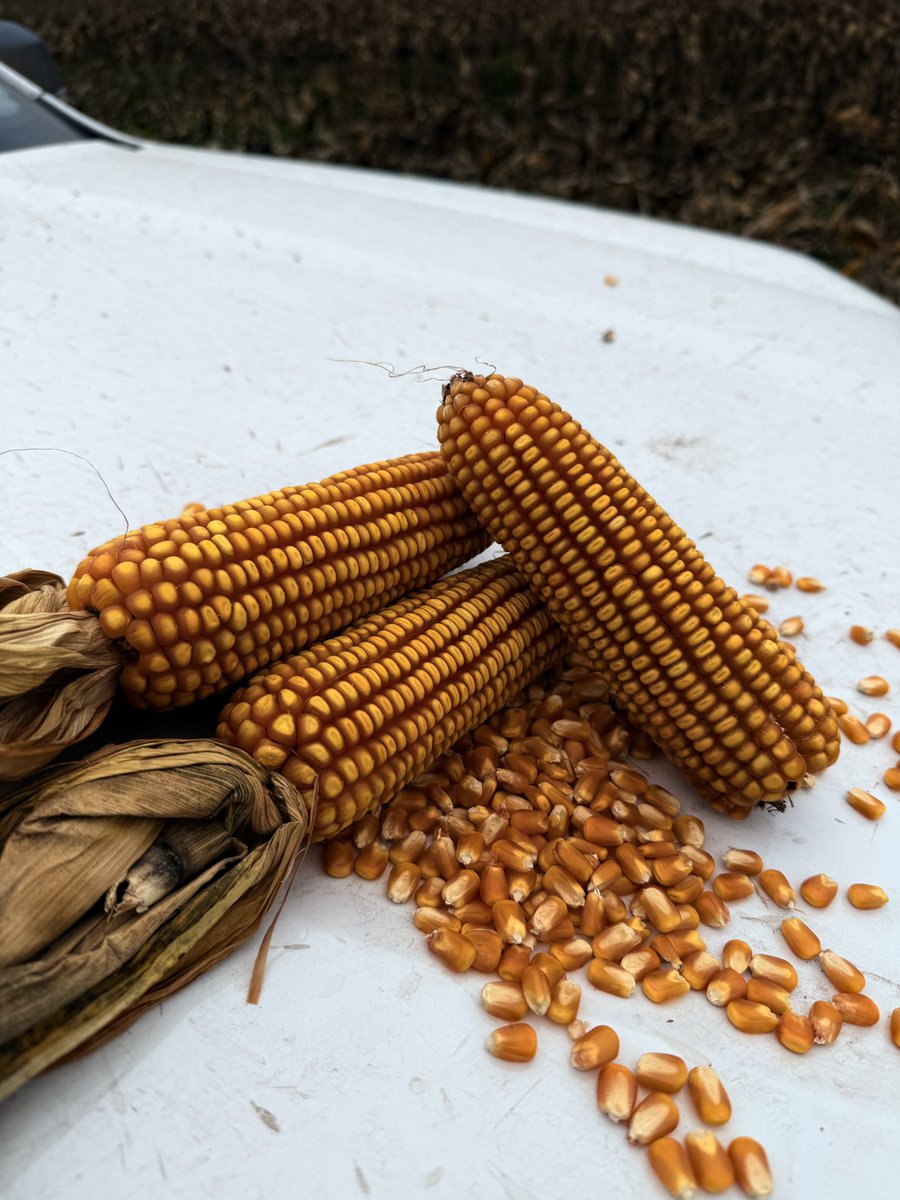 RUBISCO AGROPECUARIA SRL tweet media