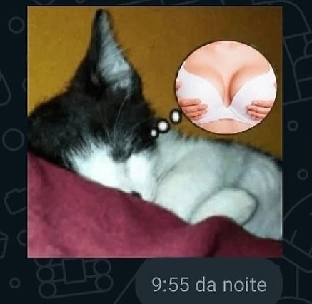 Packzin (@sitepackzin) on Twitter photo 